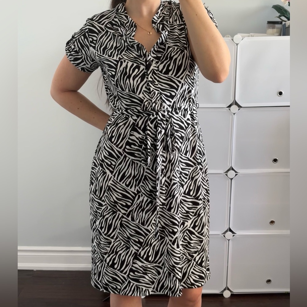 Zebra Patterned Dress